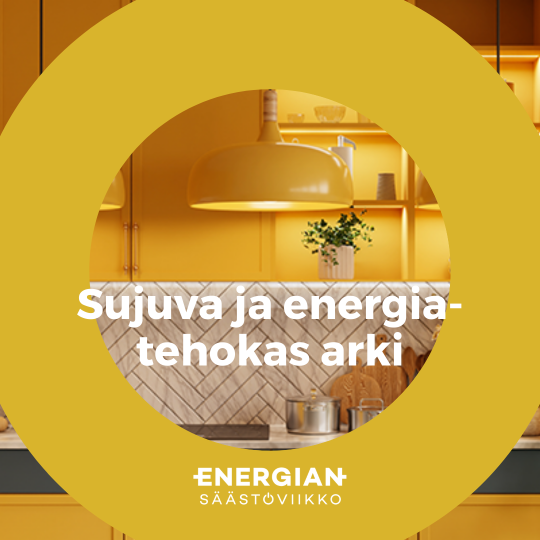 Energiansäästöviikko 2024 Image